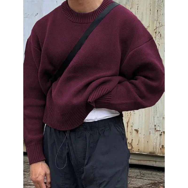 TrendLux Wear minimalist fleece-lined crew neck knit sweater in slim fit, available in four colors, shown in a cozy, stylish fit.