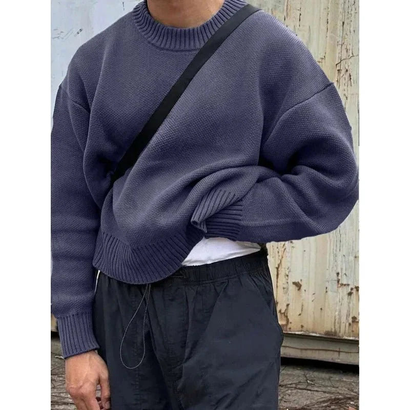TrendLux Wear minimalist fleece-lined crew neck knit sweater in slim fit, available in four colors, cozy and stylish for cold weather.