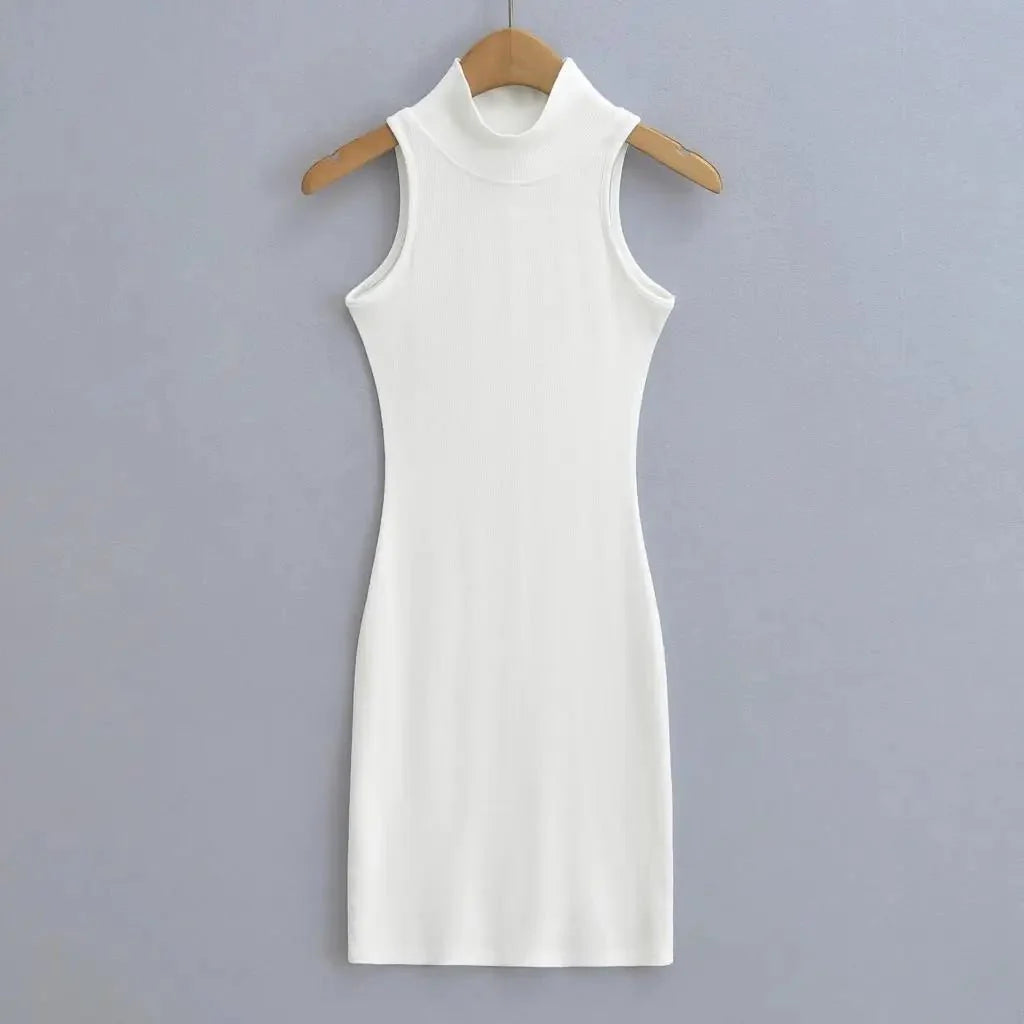 Women's knit turtleneck bodycon ankle-length maxi dress by The Glow Sanctuary, featuring a fitted silhouette and cozy fabric.